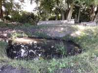 Němčice nad Hanou – Obnova porostu biokoridoru 